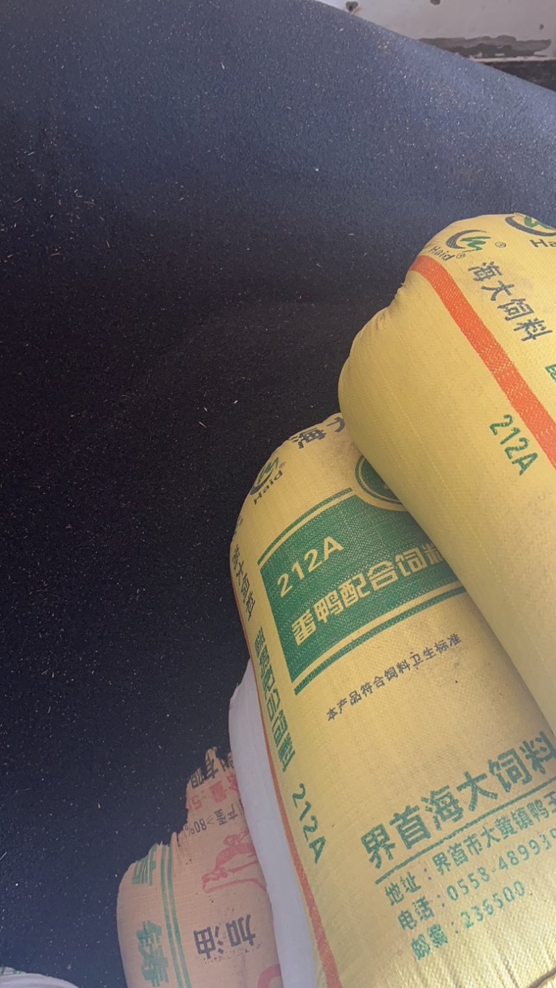 油菜籽新油菜籽油菜籽厂家现货批发菜籽高含油油菜籽