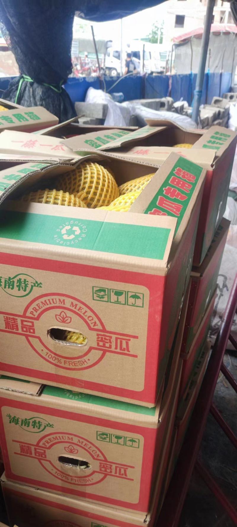 海南晓蜜哈密瓜大量上市清甜多汁果肉黄**甜