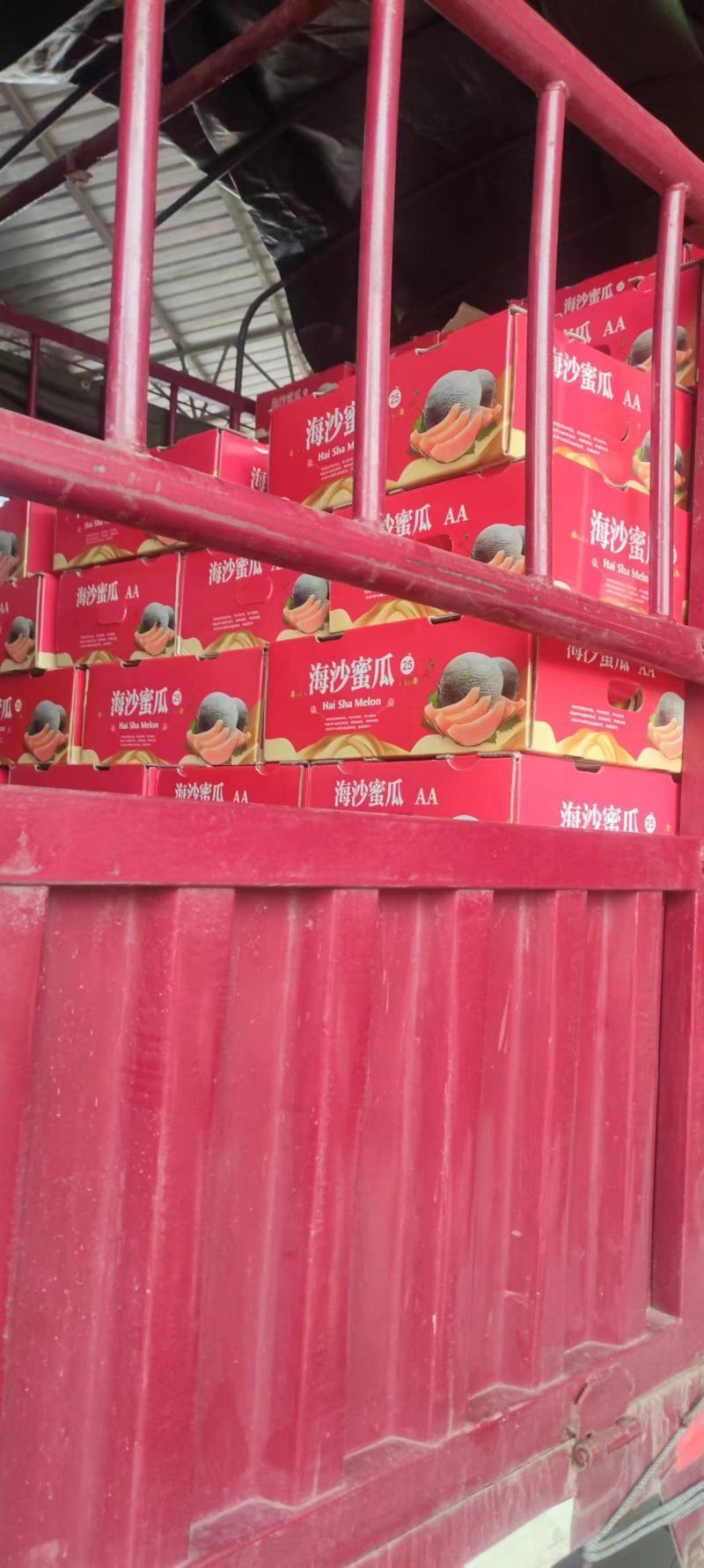 海南晓蜜哈密瓜大量上市清甜多汁果肉黄**甜