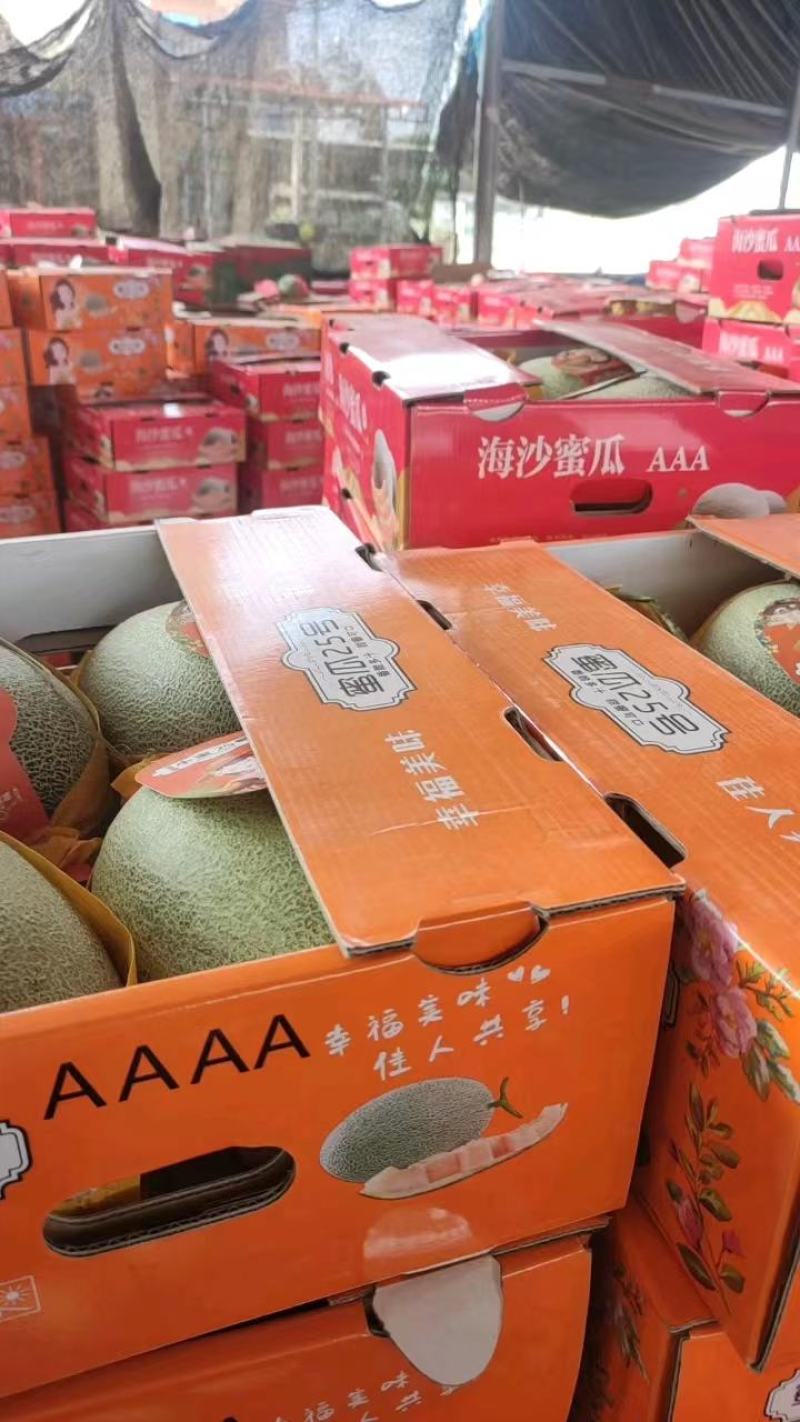 海南晓蜜哈密瓜大量上市清甜多汁果肉黄**甜