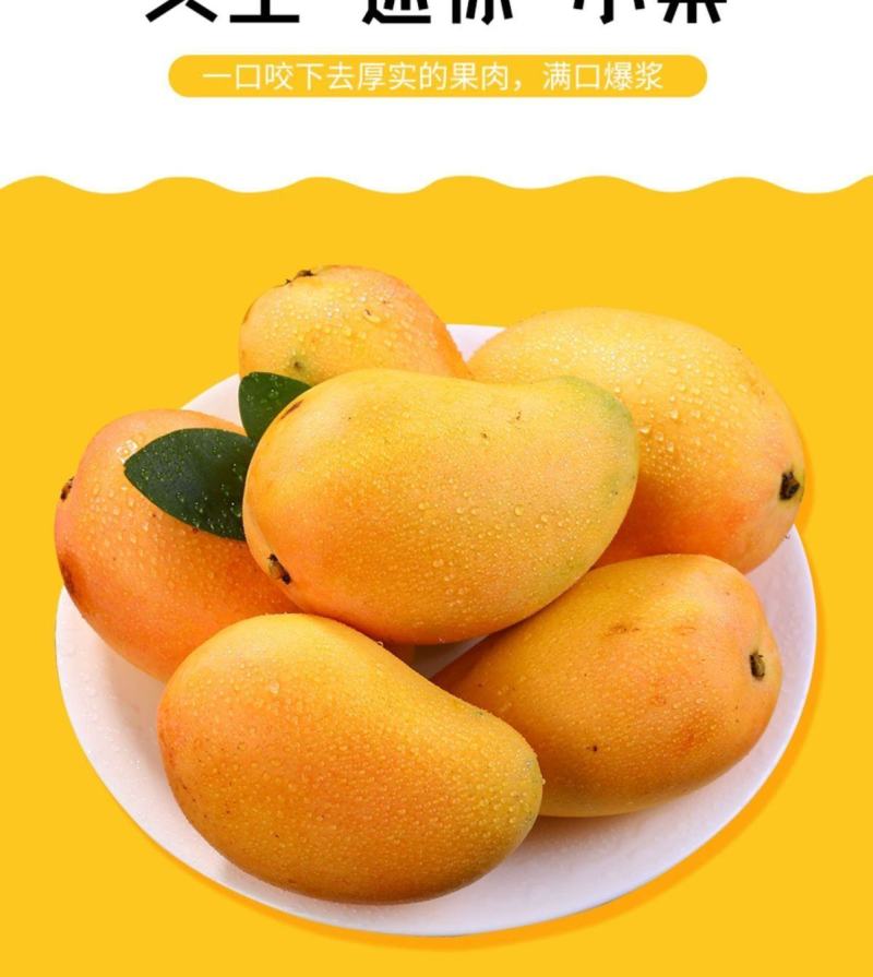 正宗海南小台农1.2元一斤，5000斤，