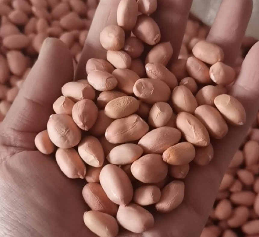 花蛤营养成分图解