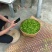 出售原生态茶