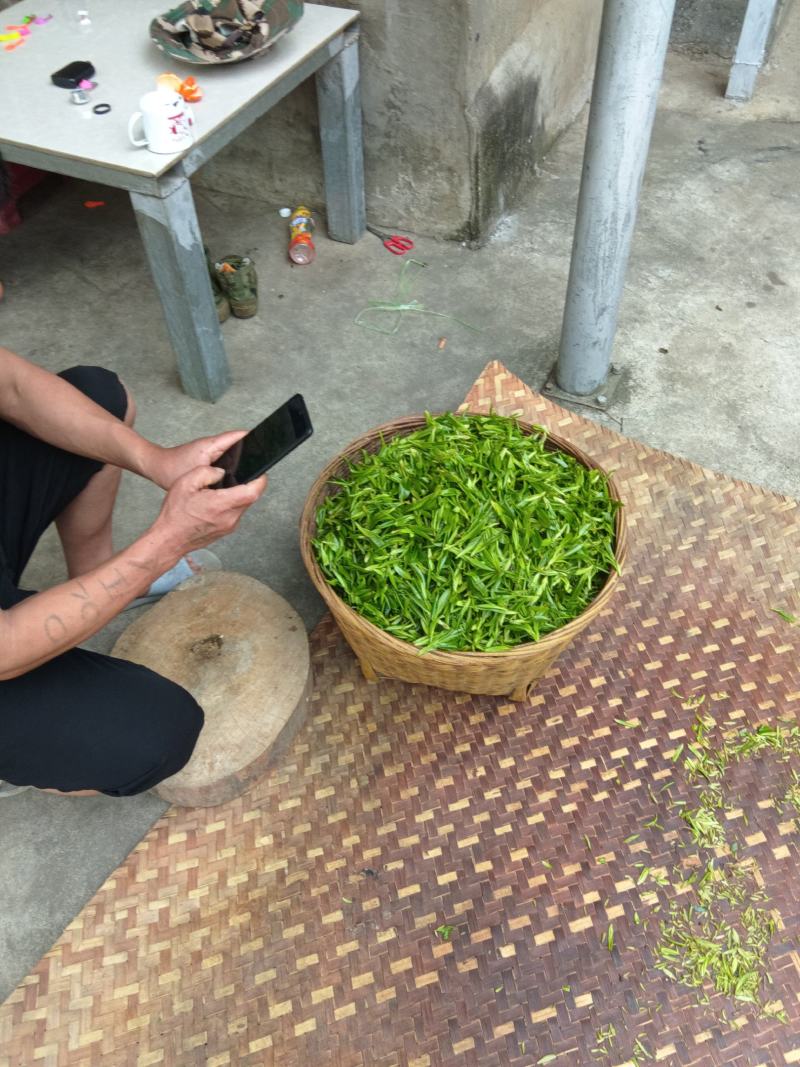 出售原生态茶