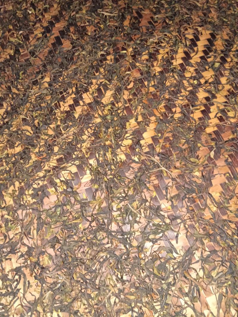 出售原生态茶