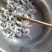 白玉鸟贝肉，干冰，元汁，主打一个鲜，给你来个惊喜！