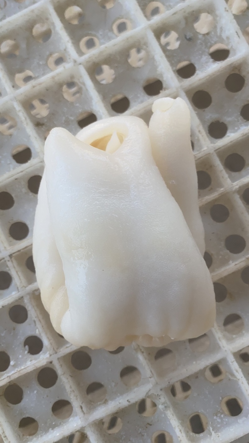 羊蛋皮