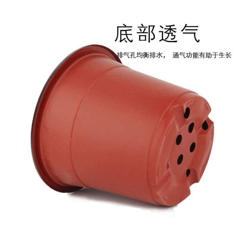 加厚双色盆批发育苗杯筒易花盆多肉叶插盆大棚营养盆