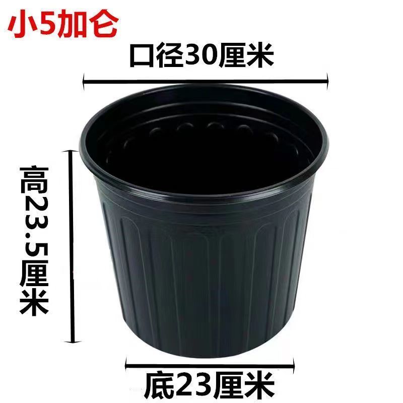 加厚双色盆批发育苗杯筒易花盆多肉叶插盆大棚营养盆