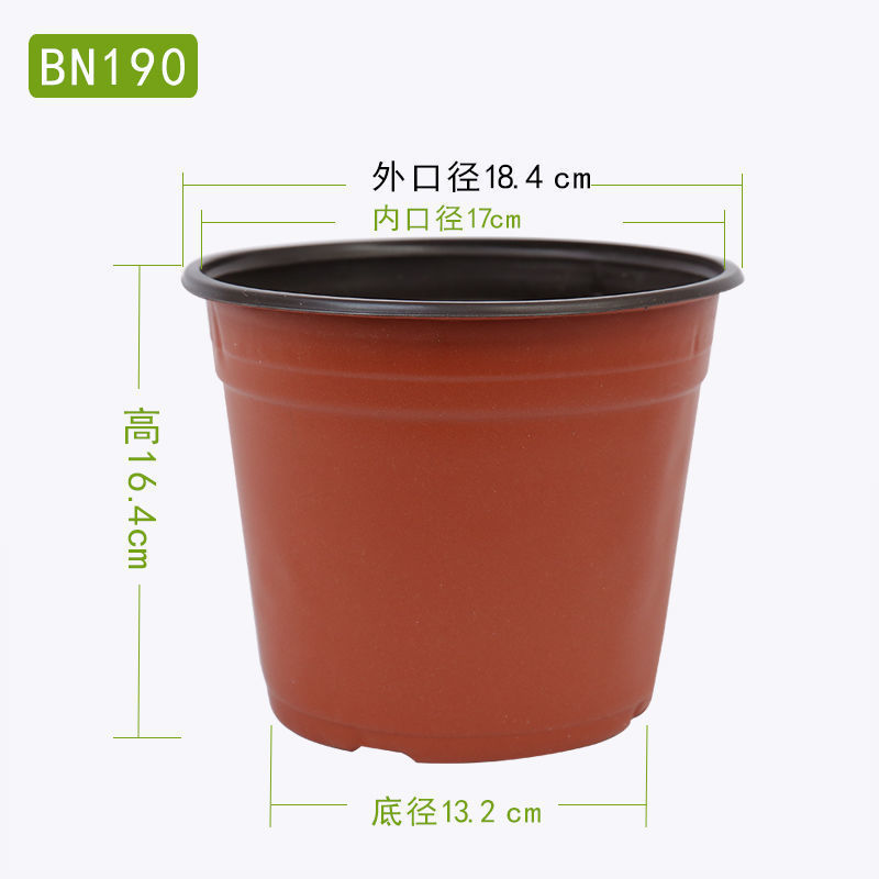 加厚双色盆批发育苗杯筒易花盆多肉叶插盆大棚营养盆