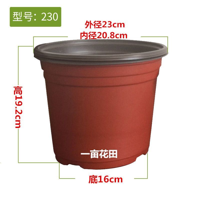 加厚双色盆批发育苗杯筒易花盆多肉叶插盆大棚营养盆