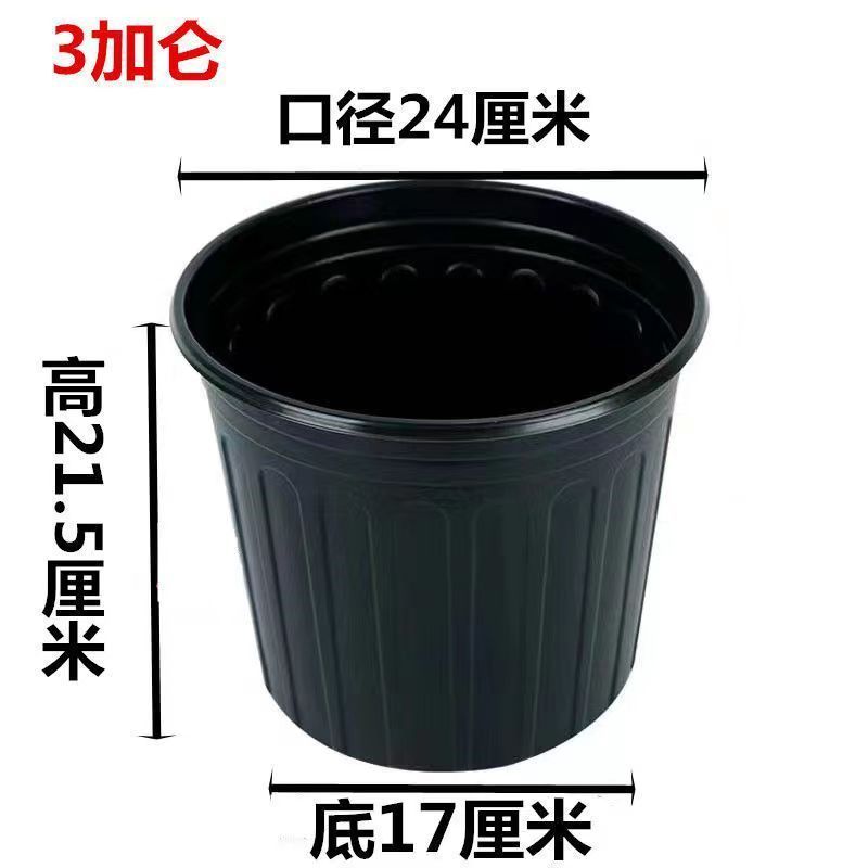 加厚双色盆批发育苗杯筒易花盆多肉叶插盆大棚营养盆