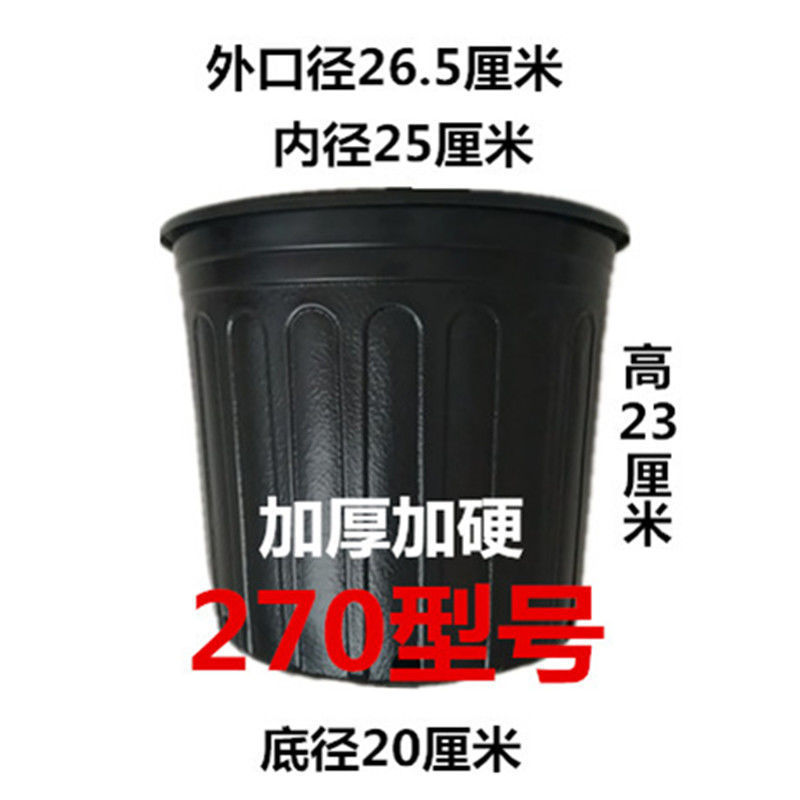加厚双色盆批发育苗杯筒易花盆多肉叶插盆大棚营养盆
