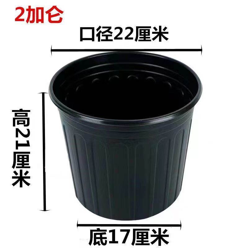 加厚双色盆批发育苗杯筒易花盆多肉叶插盆大棚营养盆