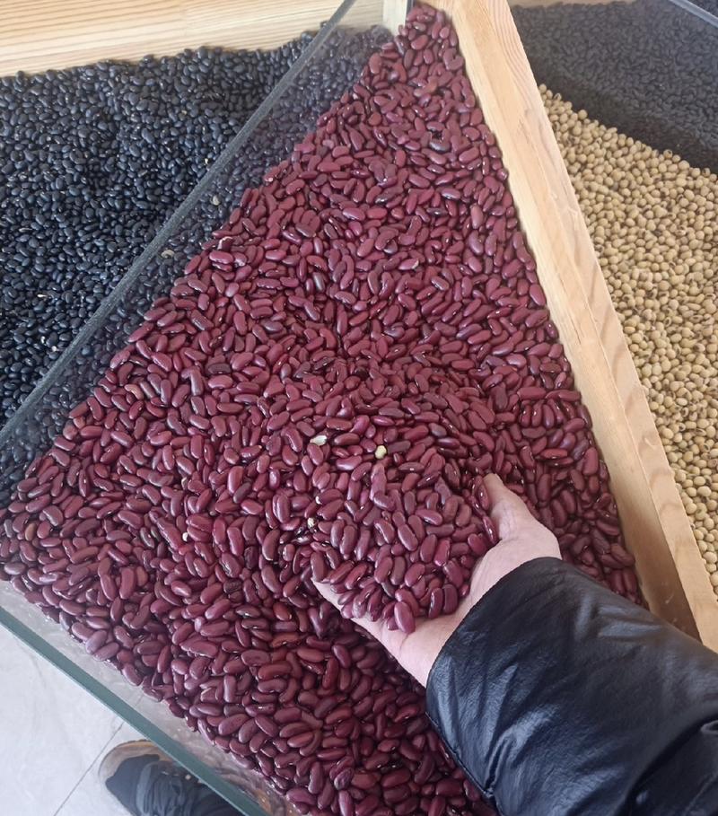 红小豆厂家现货批发精品红小豆红豆全国发货