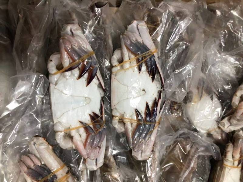 20斤装单冻梭子蟹