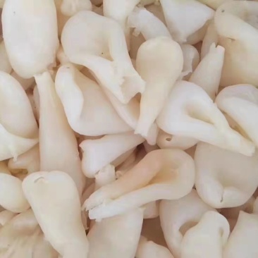 鸡蛋胶，花胶，筒胶，圆胶，尖胶