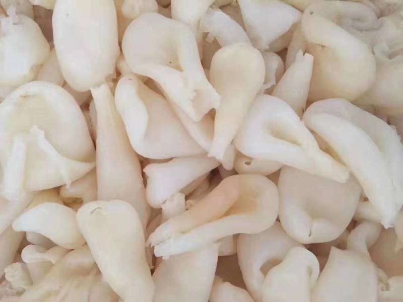 鸡蛋胶，花胶，筒胶，圆胶，尖胶
