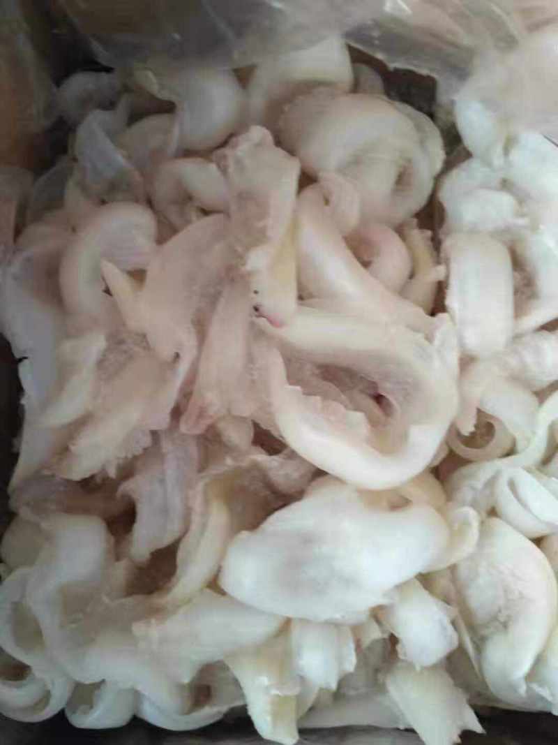 鸡蛋胶，花胶，筒胶，圆胶，尖胶