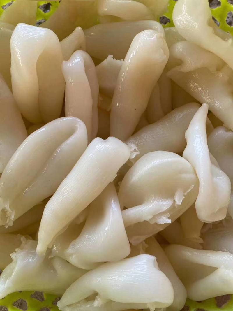 鸡蛋胶，花胶，筒胶，圆胶，尖胶