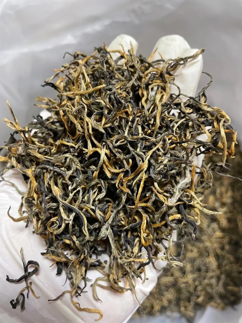 2023年头春英红九号英德红茶