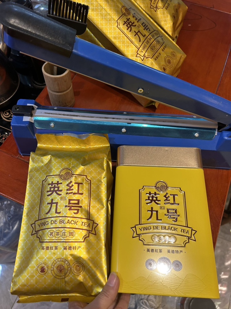 2023年头春英红九号英德红茶