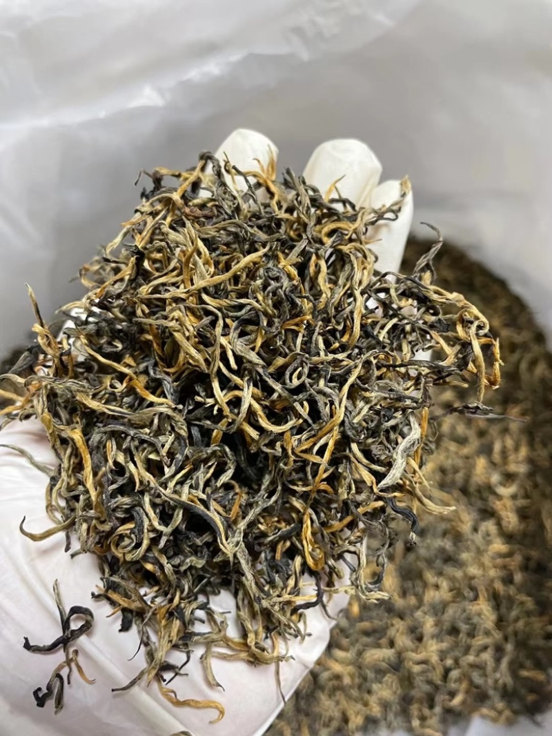 2023年头春英红九号英德红茶