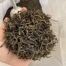 一斤包邮一斤也是批发价英德红茶英红九号春茶