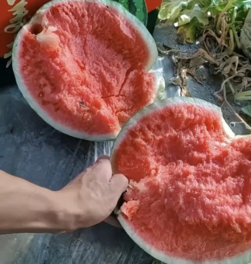 麒麟美都，大量上市质量三包。以质量求生存。