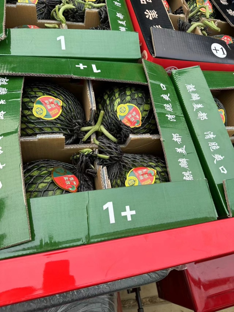 麒麟美都，大量上市质量三包。以质量求生存。