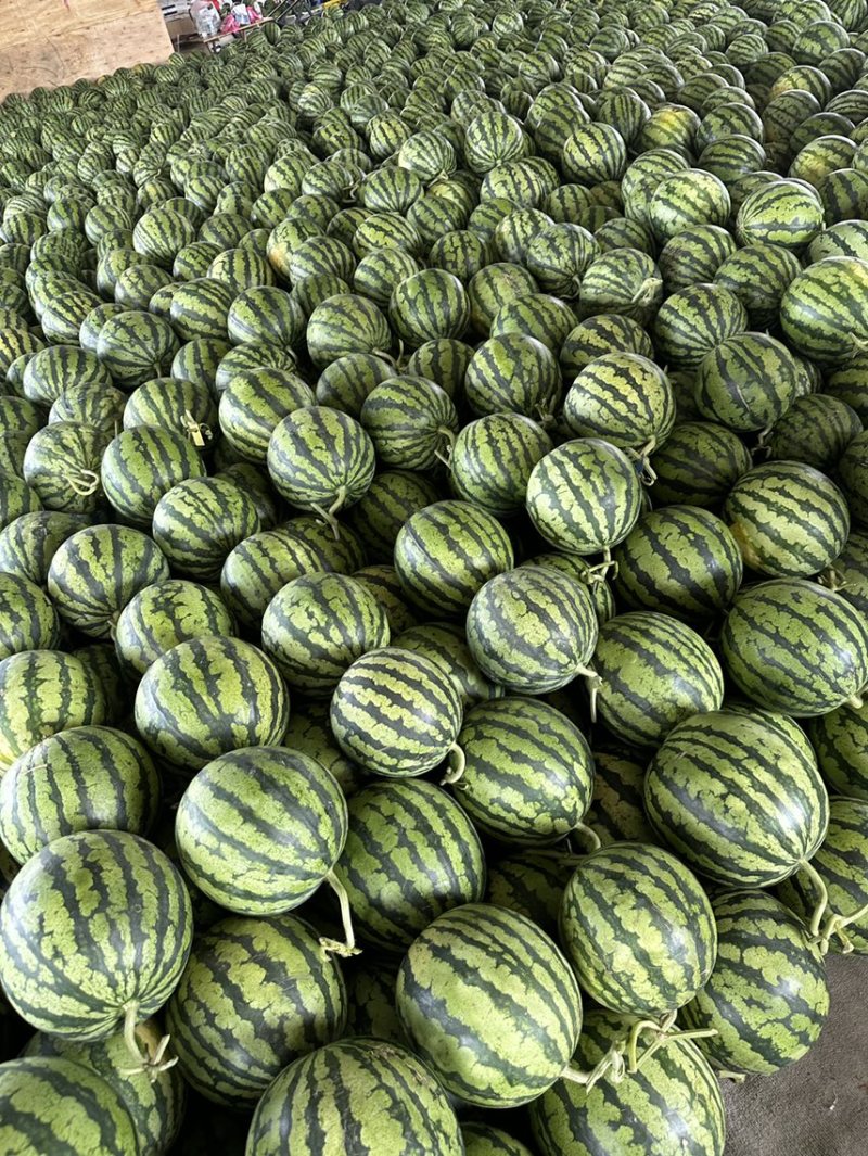 麒麟美都，大量上市质量三包。以质量求生存。
