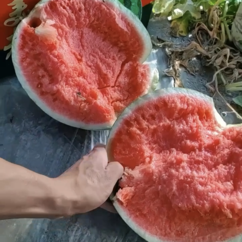 麒麟美都，大量上市质量三包。以质量求生存。