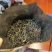 一斤包邮一斤也是批发价英德红茶英红九号春茶