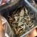 2020年英红九号白茶老白茶英德红茶