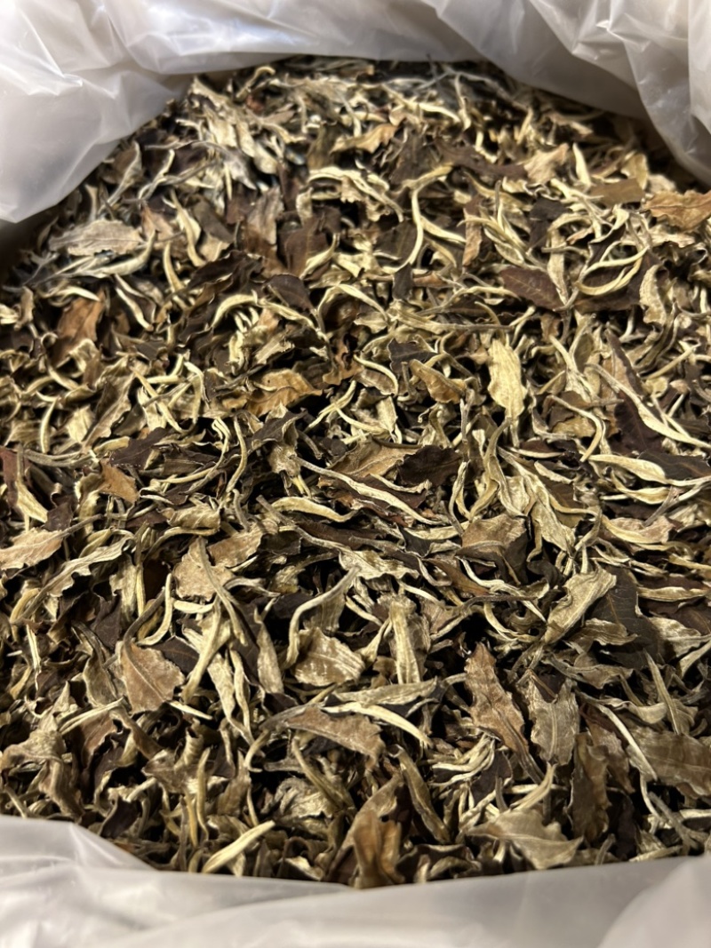 2020年英红九号白茶老白茶英德红茶