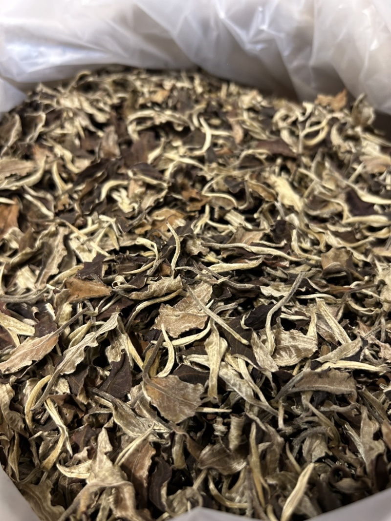 2020年英红九号白茶老白茶英德红茶