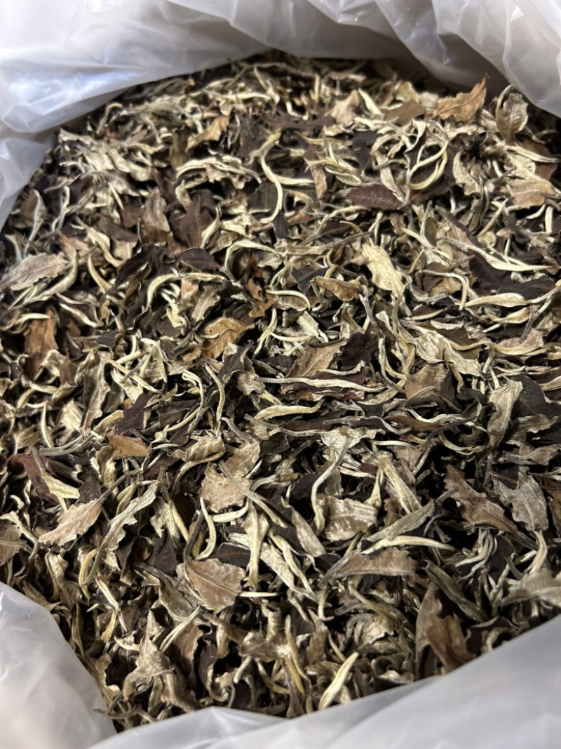 2020年英红九号白茶老白茶英德红茶