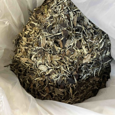 2020年英红九号白茶老白茶英德红茶