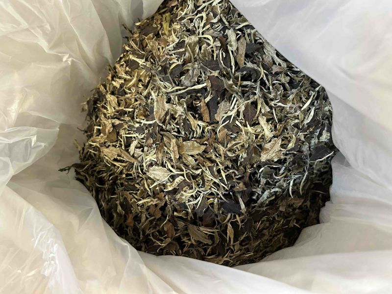 2020年英红九号白茶老白茶英德红茶