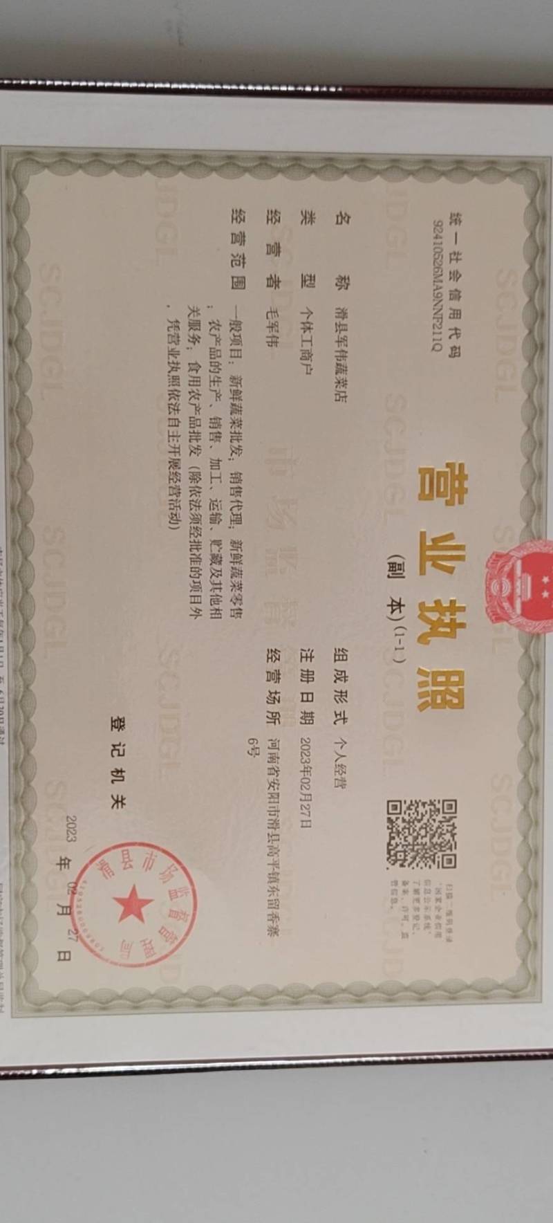 滑县绿神菠菜叶片厚油绿园全国发货量大从优