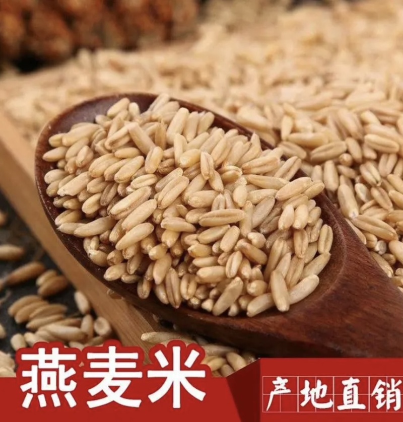 燕麦米新燕麦颗粒饱满细长燕麦米厂家现货