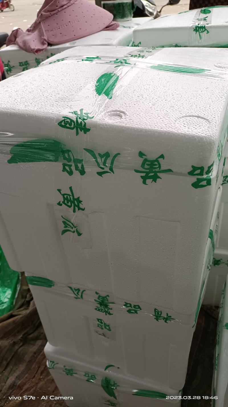 精品刺儿黄瓜顶花带刺电商超市市场皆可货源充足