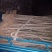 丝棉木小苗地径一点五公分左右，高度80公分以上