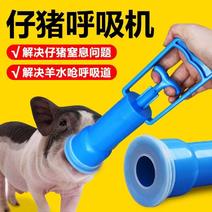 猪用呼吸机小猪呼吸泵刚出生仔猪呼吸器抽羊水抽子接生工具吸