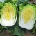 山东白菜【黄心】单颗净菜4-6斤基地直供一手货源