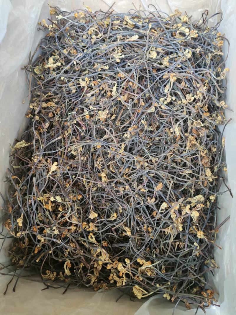 龙爪菜蕨菜新货上市