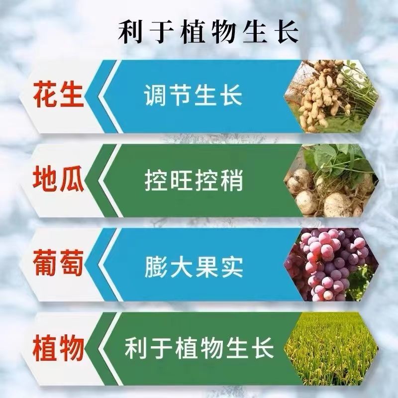汤普森~田桥8%调环酸钙~花生调节生长正品农药调节剂老品