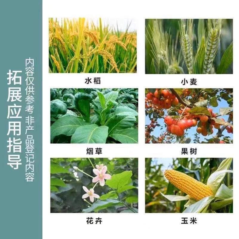 汤普森~田桥8%调环酸钙~花生调节生长正品农药调节剂老品