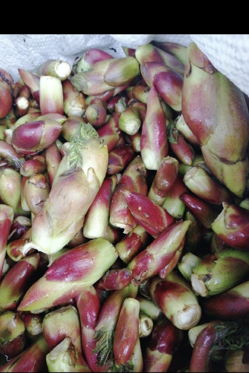 乌龙头野菜
