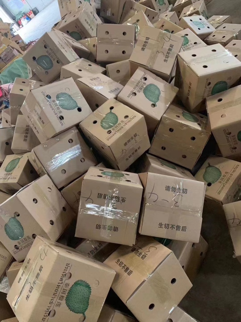 进口泰国金枕榴大量上市欢迎全国各大巿场老板订货